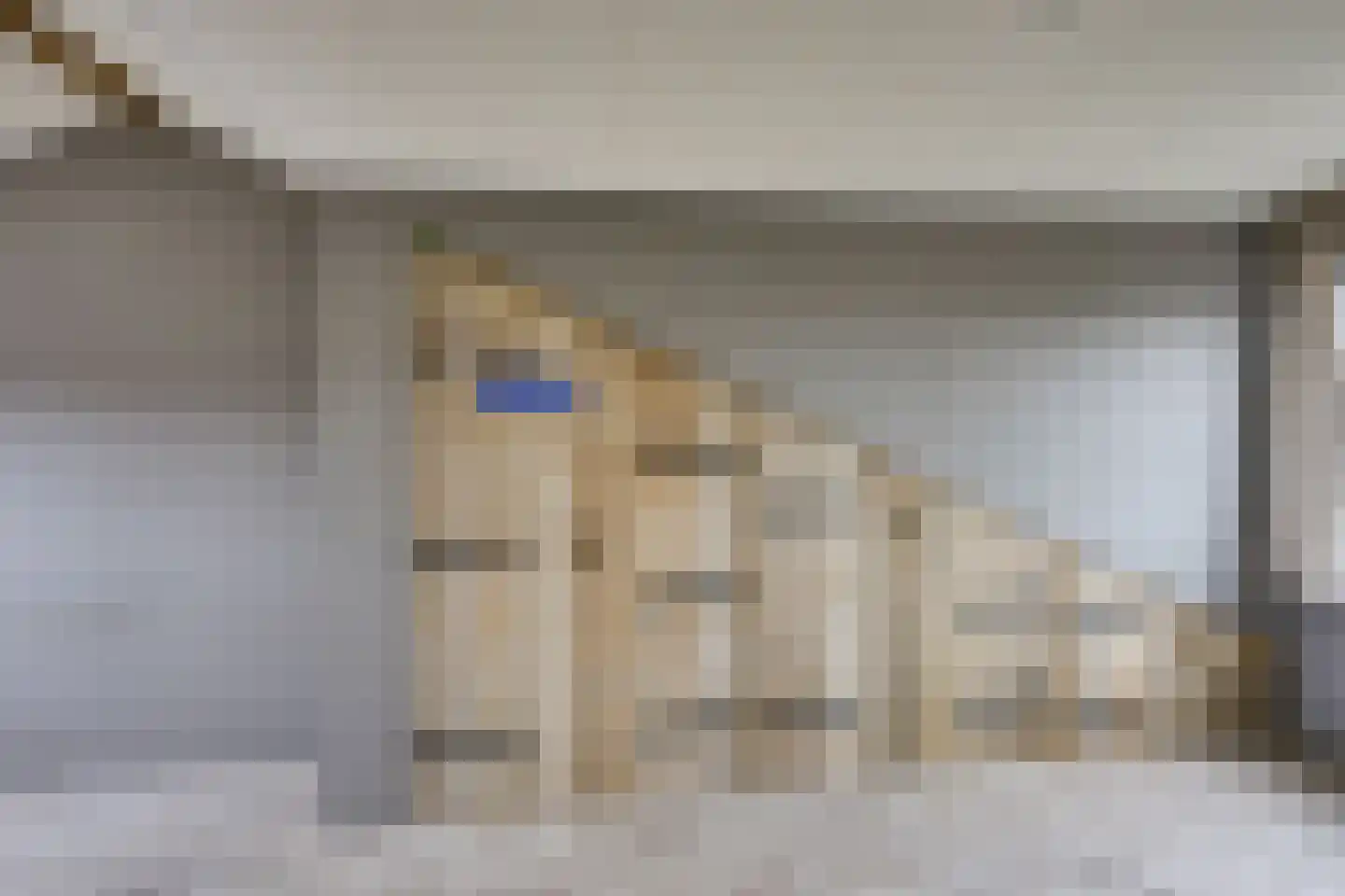 Voetweyde 35 Werkendam thumbnail 22