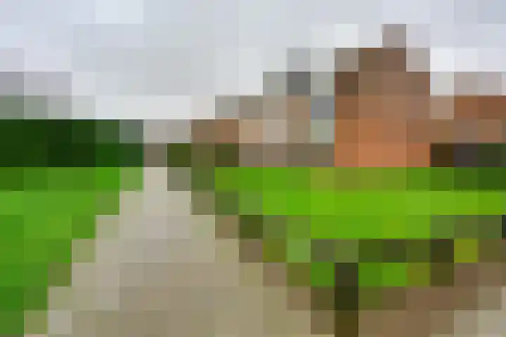 Voetweyde 35 Werkendam thumbnail 30
