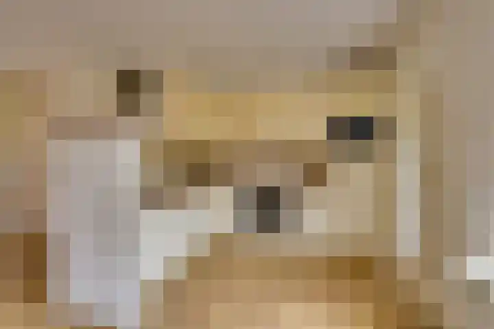 Voetweyde 35 Werkendam thumbnail 8