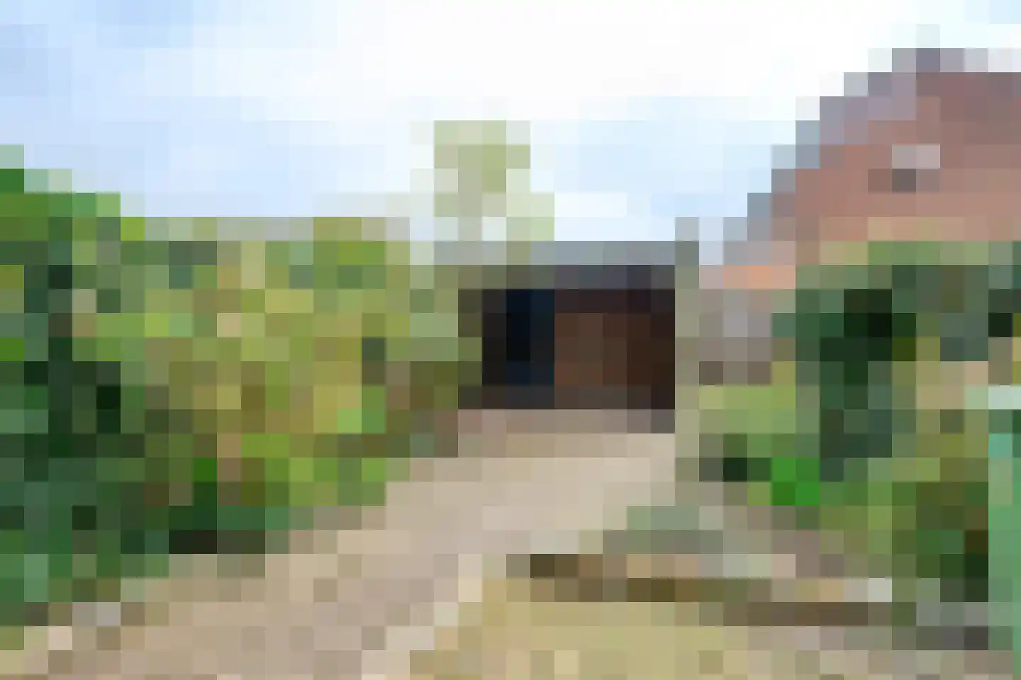 Voetweyde 7 Werkendam thumbnail 20