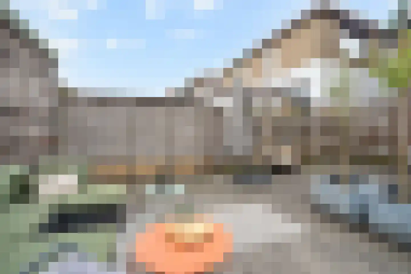 Vogelaarstraat 14 Berkel en Rodenrijs thumbnail 17