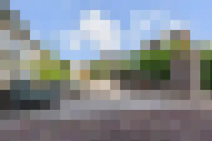 Vogelaarstraat 6 Berkel en Rodenrijs thumbnail 60