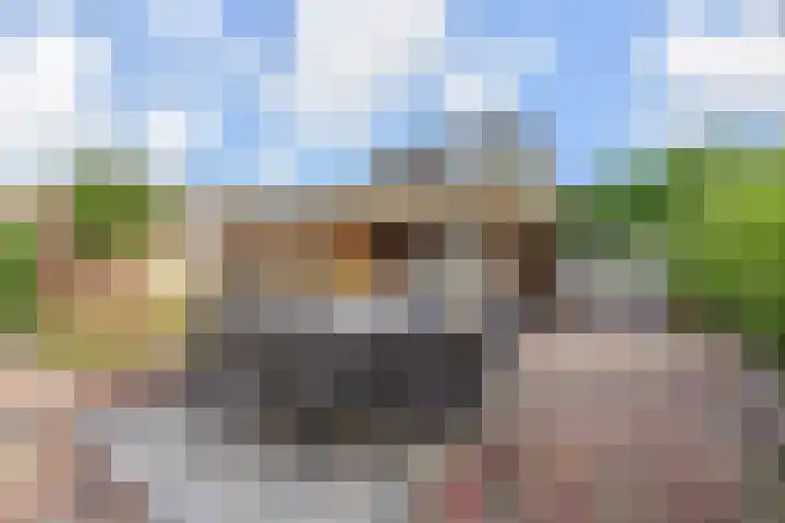 Vogelaarstraat 6 Berkel en Rodenrijs thumbnail 63