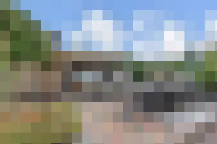 Vogelaarstraat 6 Berkel en Rodenrijs thumbnail 64