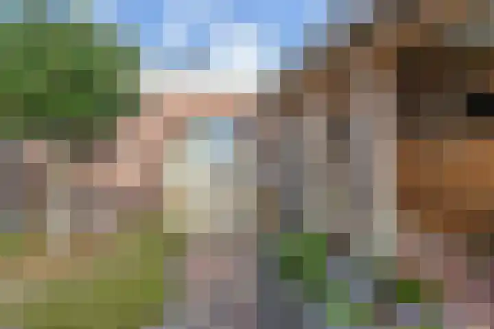Vogelaarstraat 6 Berkel en Rodenrijs thumbnail 65