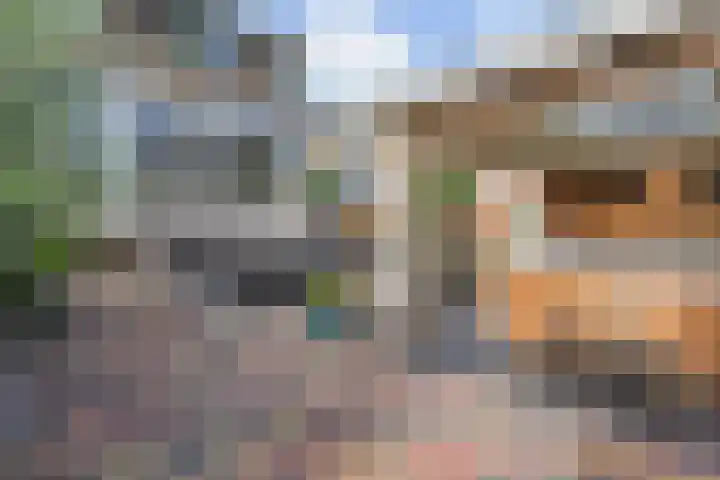 Vogelaarstraat 6 Berkel en Rodenrijs thumbnail 67