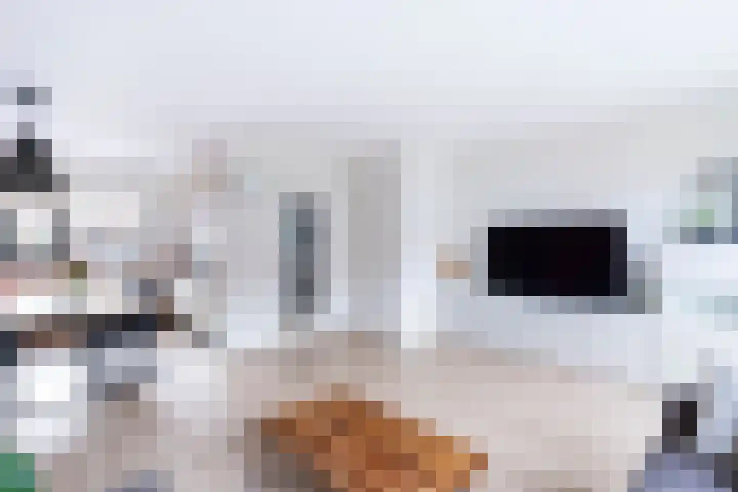 Vogelaarsweide 8 Nieuwegein thumbnail 4