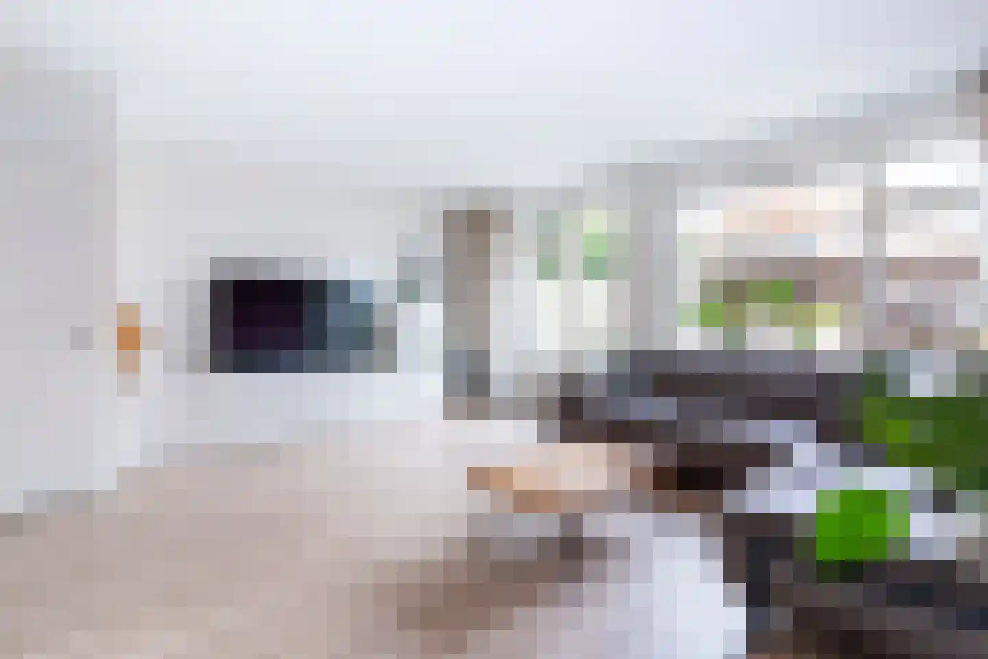 Vogelaarsweide 8 Nieuwegein thumbnail 5