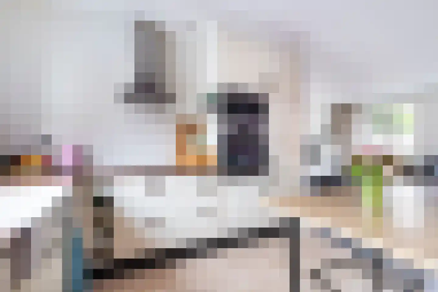 Vogelaarsweide 8 Nieuwegein thumbnail 7