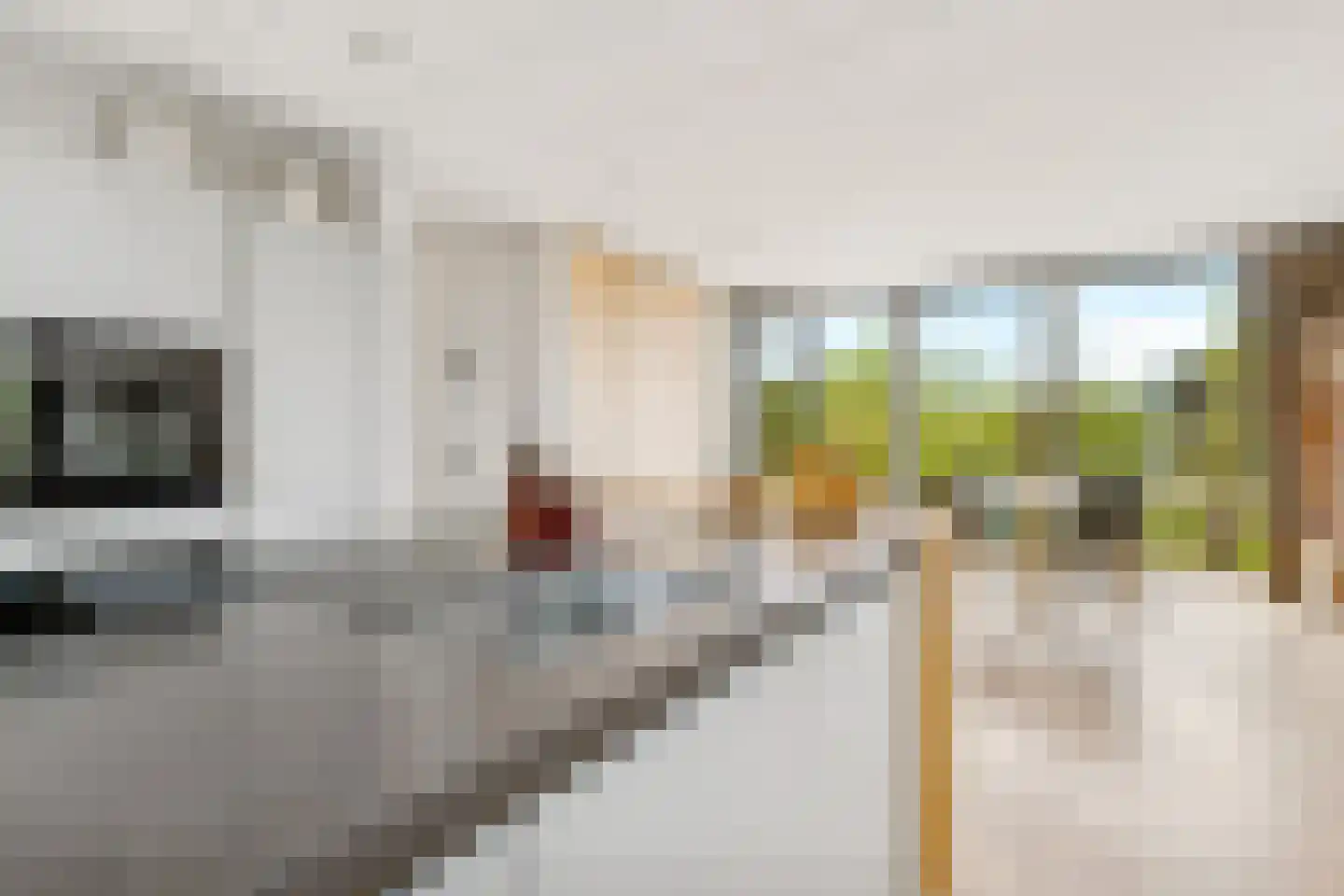 Vogelakker 73 Almere thumbnail 13