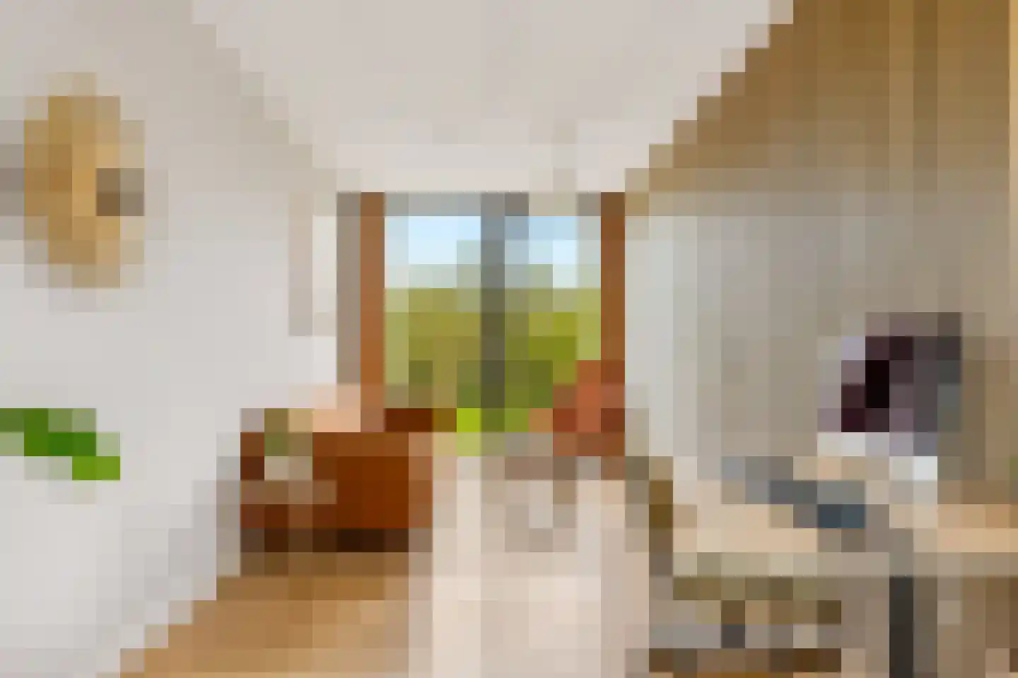 Vogelakker 73 Almere thumbnail 24
