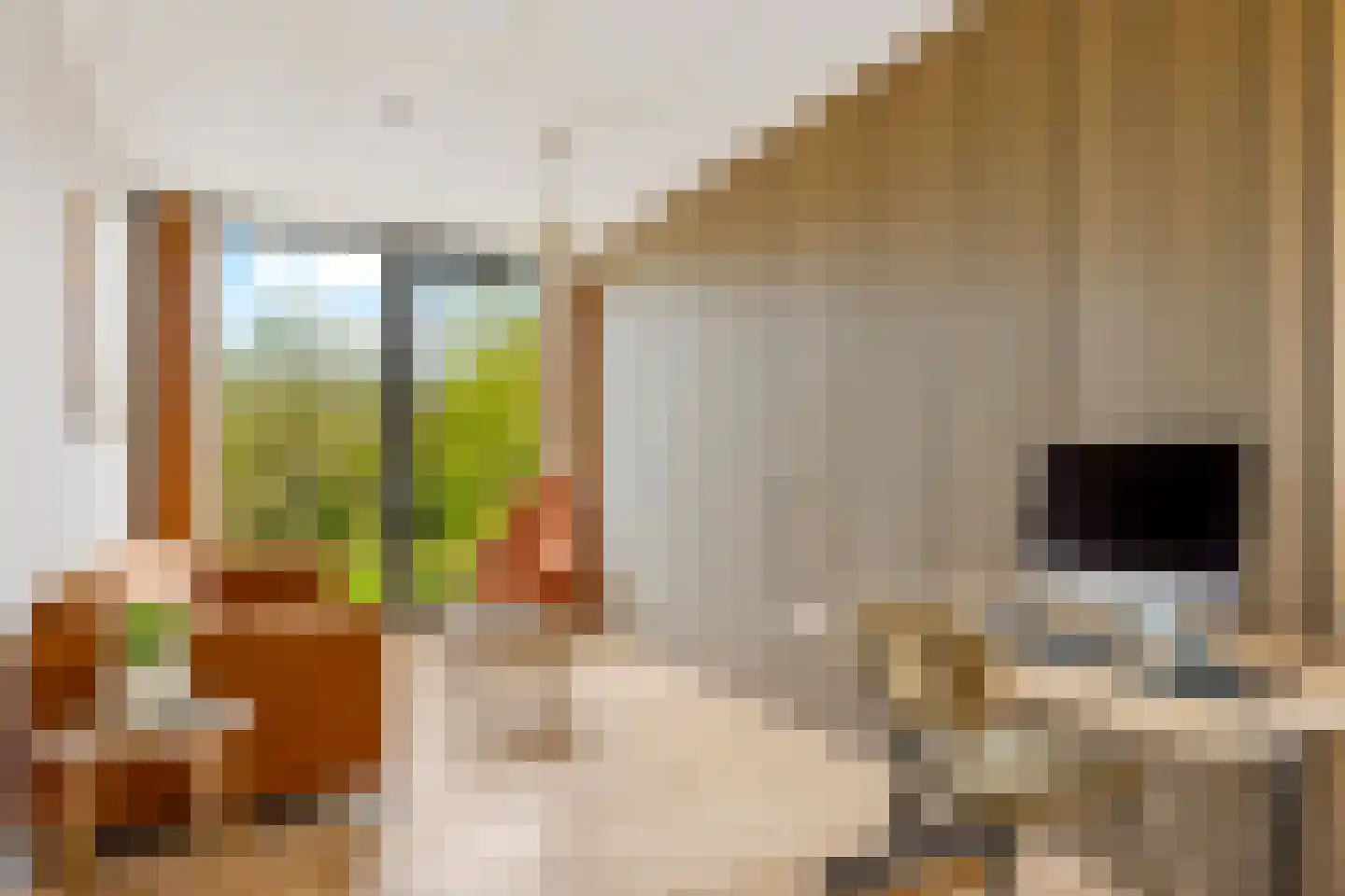 Vogelakker 73 Almere thumbnail 26