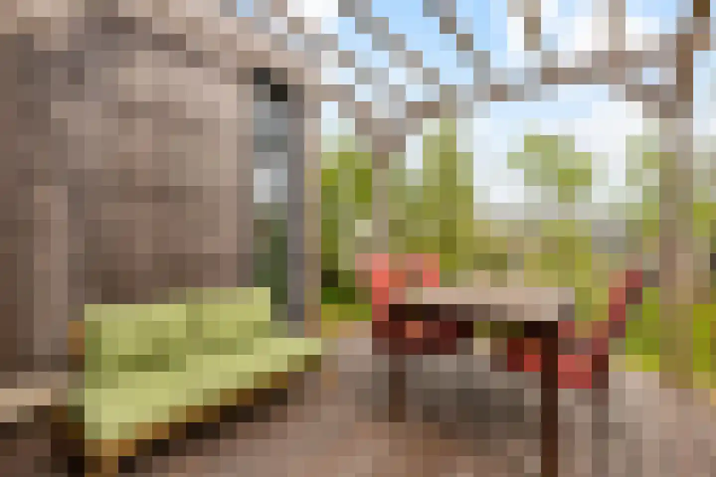 Vogelakker 73 Almere thumbnail 45