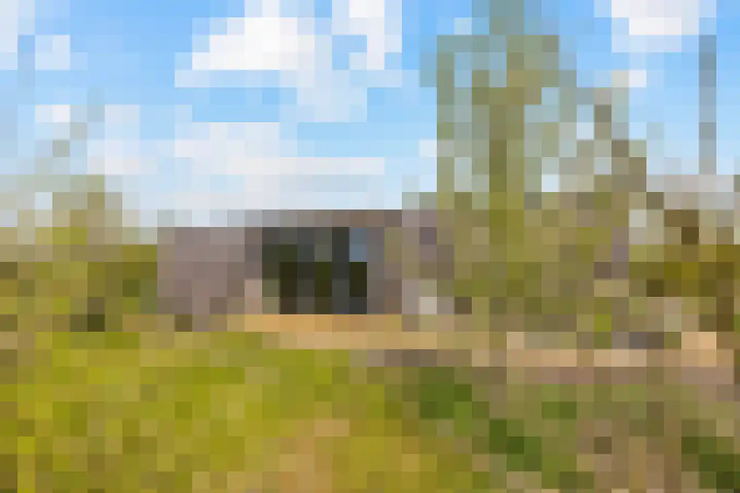 Vogelakker 73 Almere thumbnail 47
