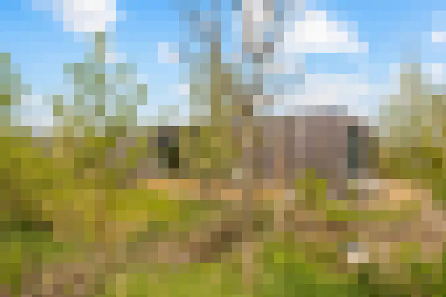 Vogelakker 73 Almere thumbnail 48