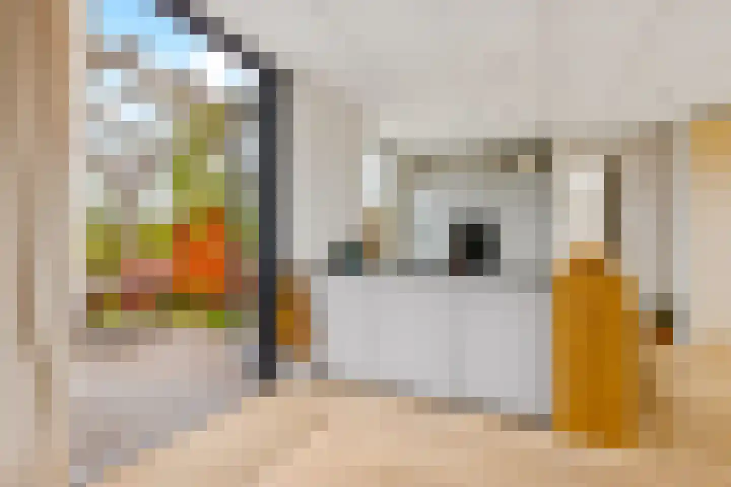 Vogelakker 73 Almere thumbnail 5