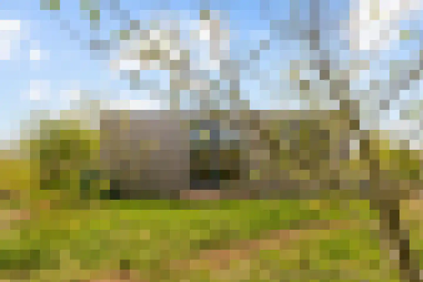 Vogelakker 73 Almere thumbnail 50