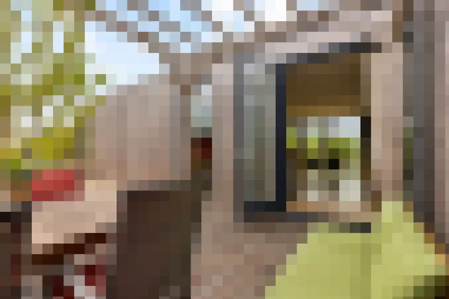 Vogelakker 73 Almere thumbnail 51