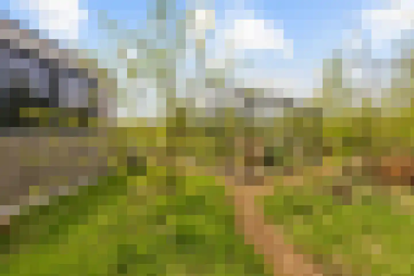 Vogelakker 73 Almere thumbnail 51