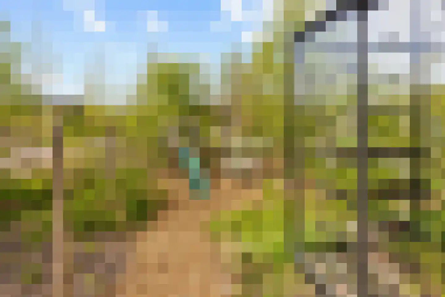 Vogelakker 73 Almere thumbnail 52