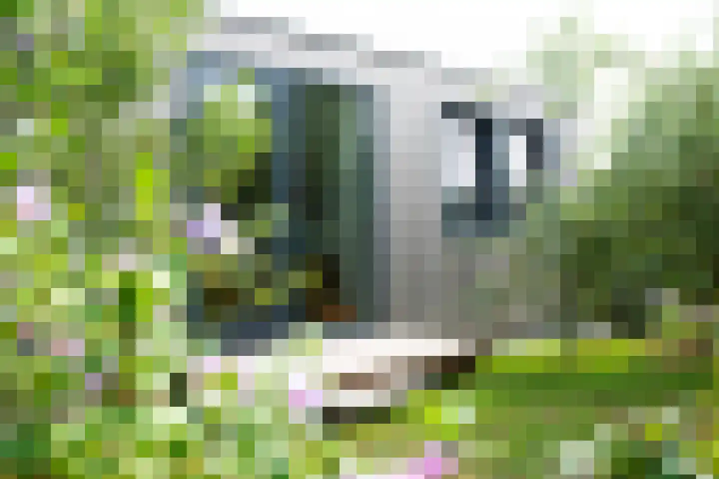 Vogelakker 73 Almere thumbnail 53