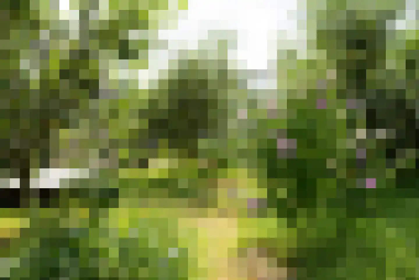Vogelakker 73 Almere thumbnail 54