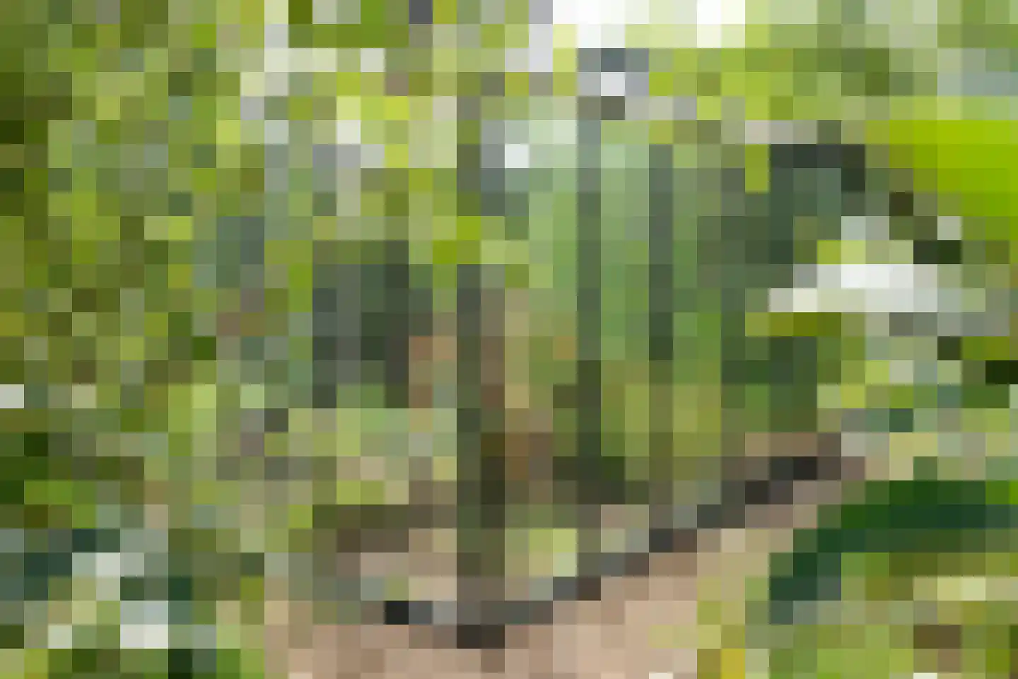 Vogelakker 73 Almere thumbnail 55