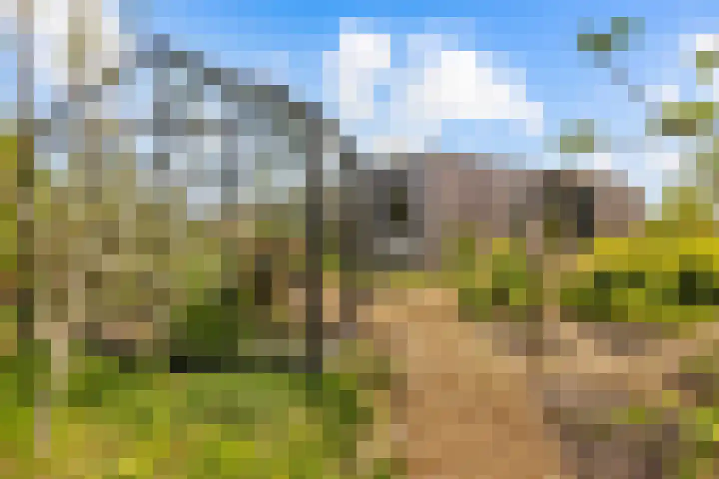 Vogelakker 73 Almere thumbnail 56