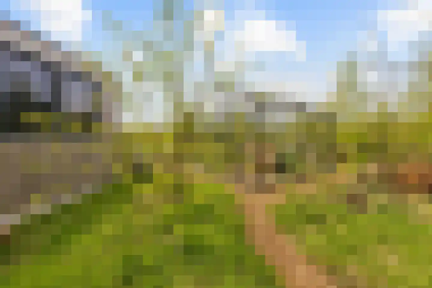 Vogelakker 73 Almere thumbnail 56