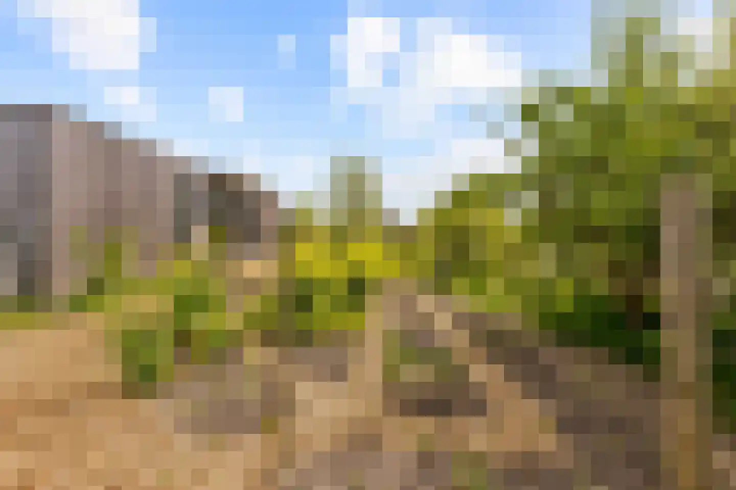 Vogelakker 73 Almere thumbnail 57