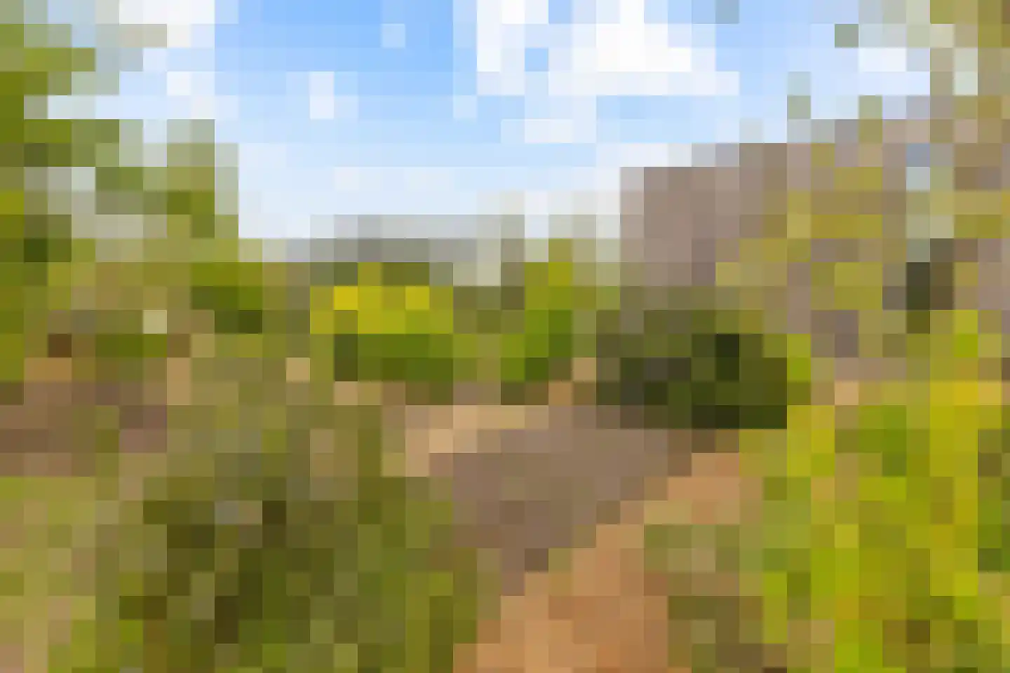 Vogelakker 73 Almere thumbnail 58