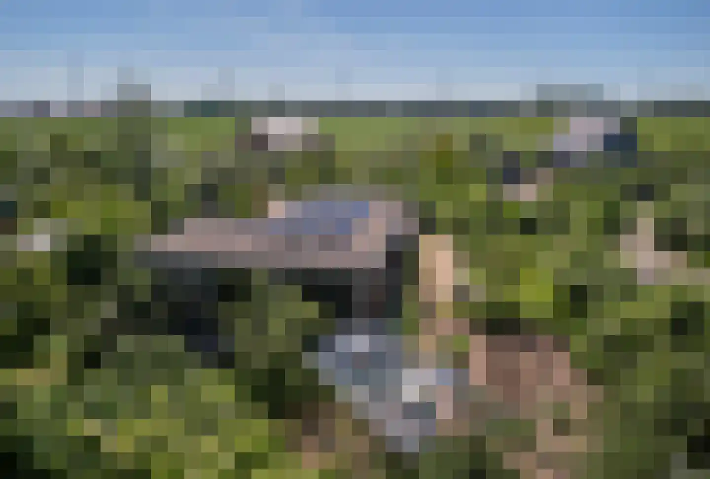 Vogelakker 73 Almere thumbnail 6