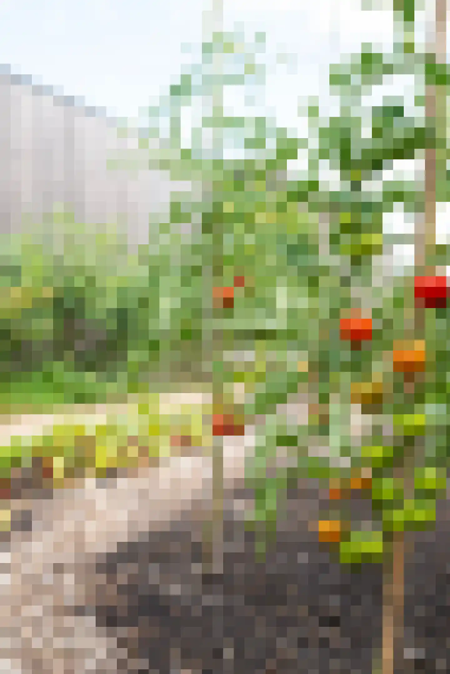 Vogelakker 73 Almere thumbnail 60