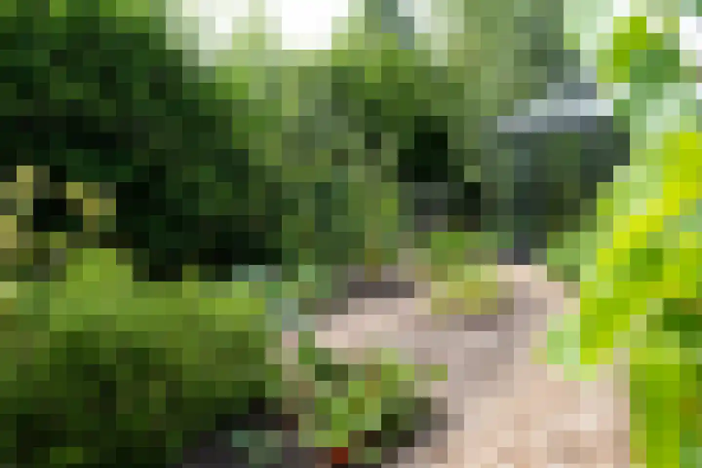Vogelakker 73 Almere thumbnail 61
