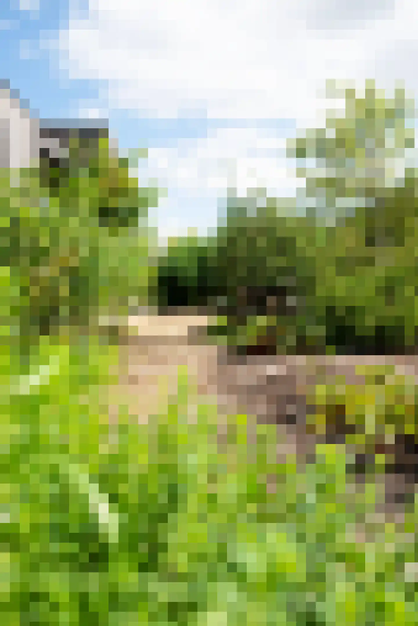 Vogelakker 73 Almere thumbnail 62
