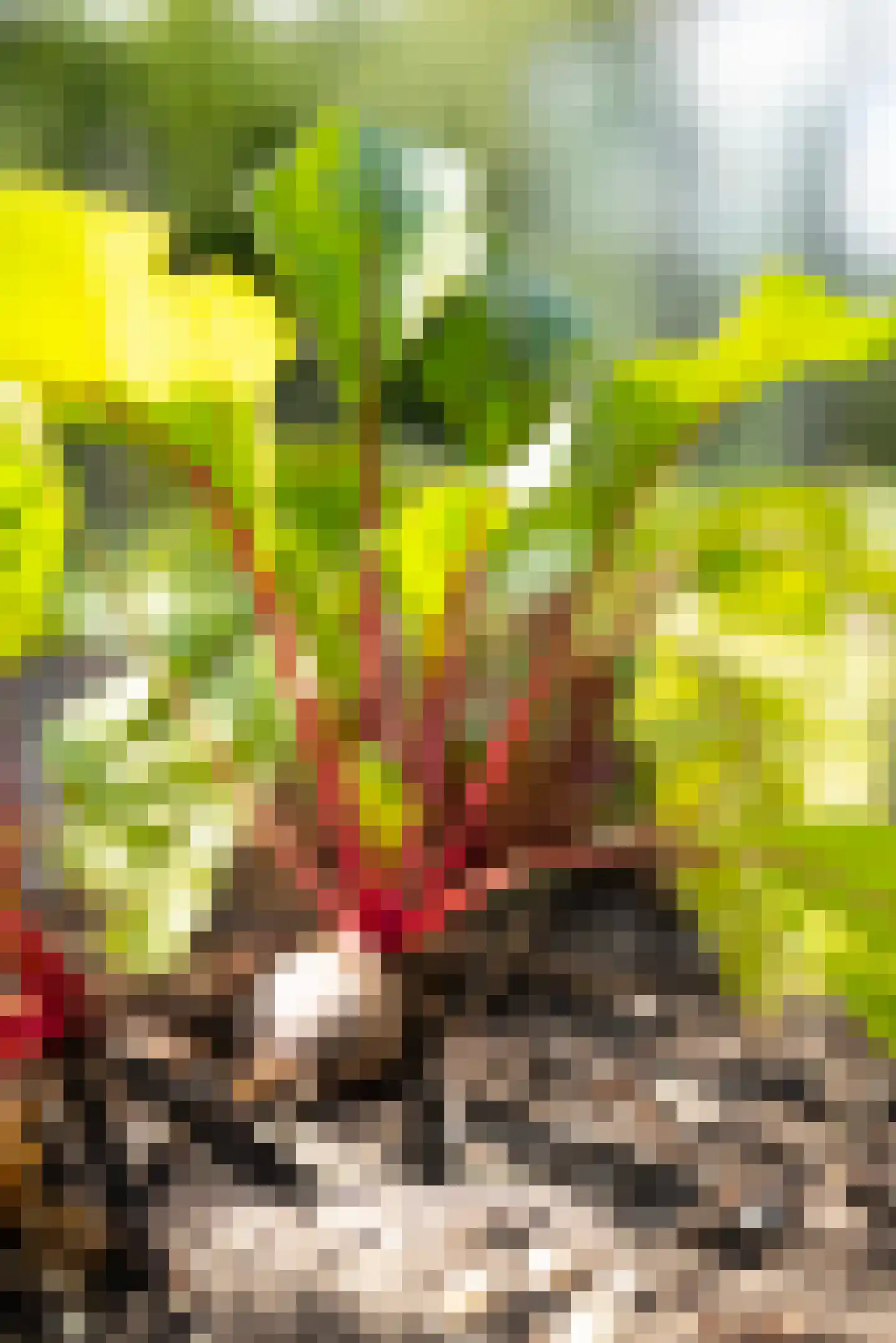 Vogelakker 73 Almere thumbnail 65
