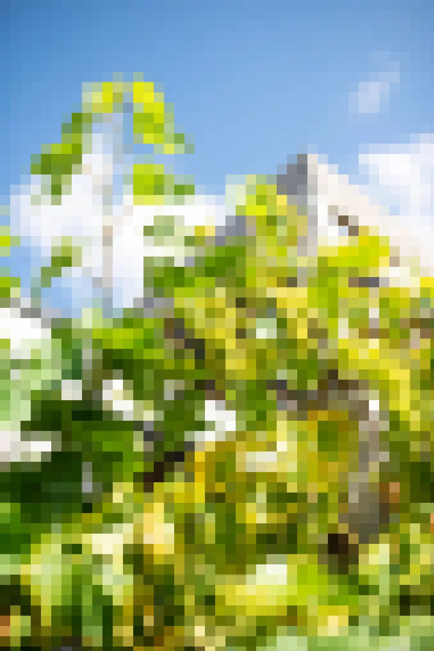 Vogelakker 73 Almere thumbnail 66