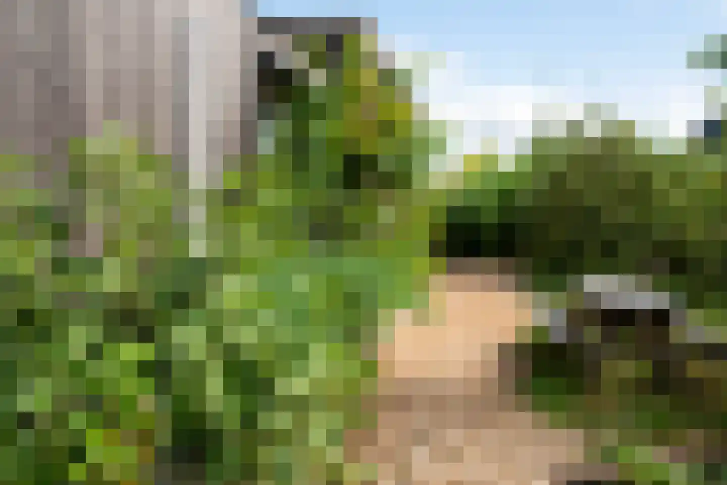 Vogelakker 73 Almere thumbnail 67