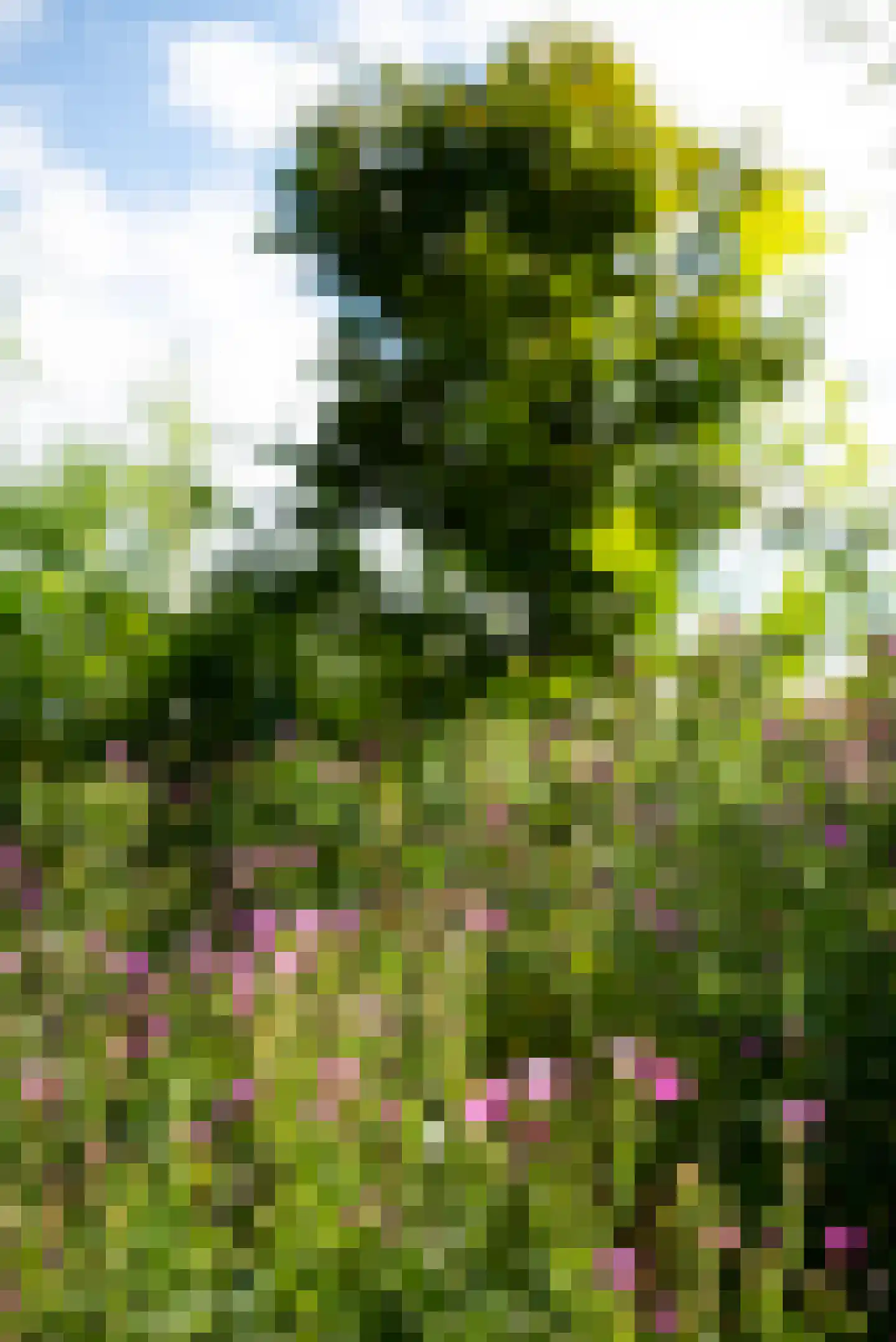 Vogelakker 73 Almere thumbnail 68