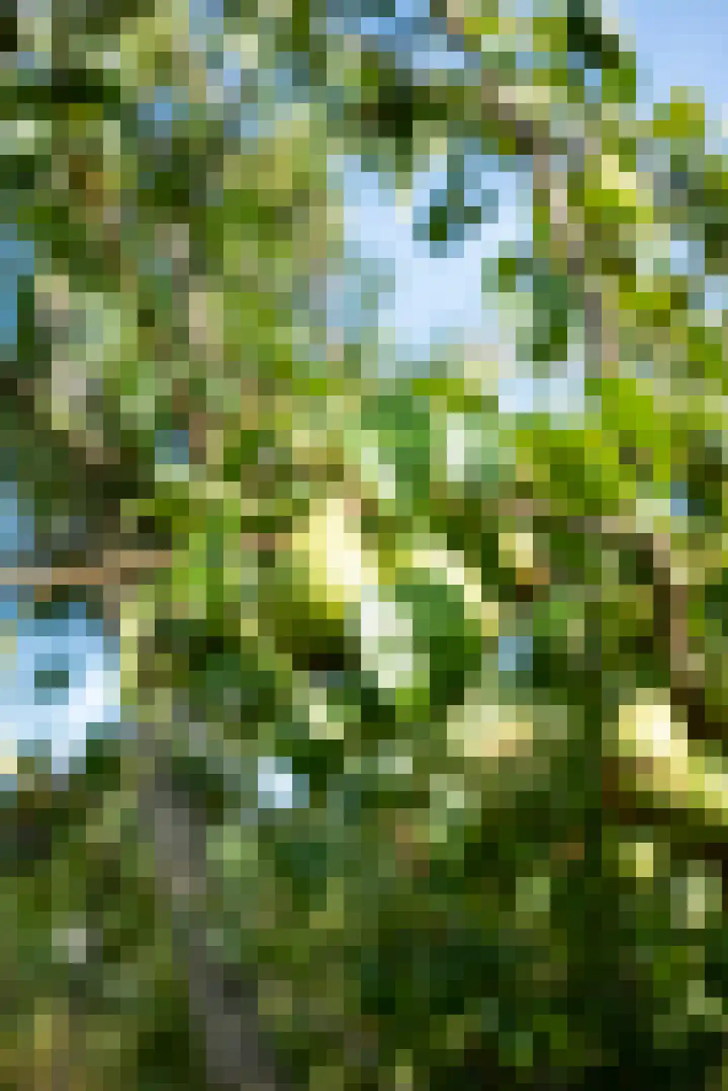 Vogelakker 73 Almere thumbnail 69