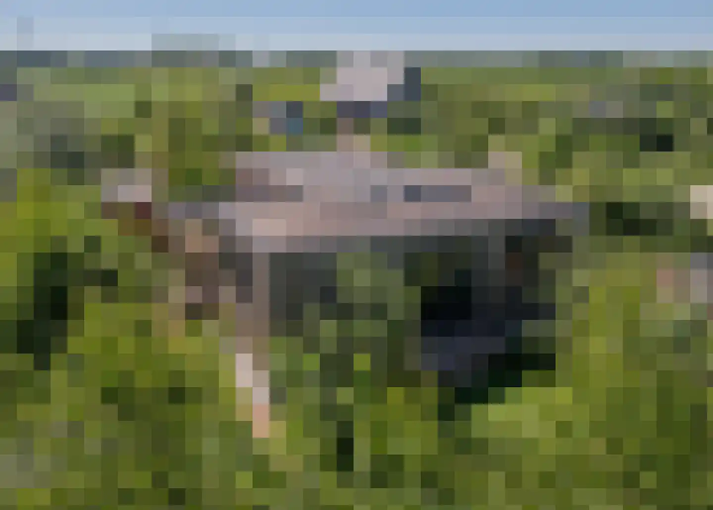 Vogelakker 73 Almere thumbnail 7