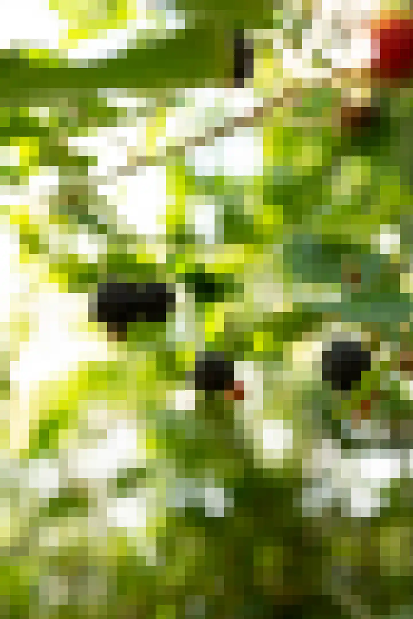 Vogelakker 73 Almere thumbnail 70