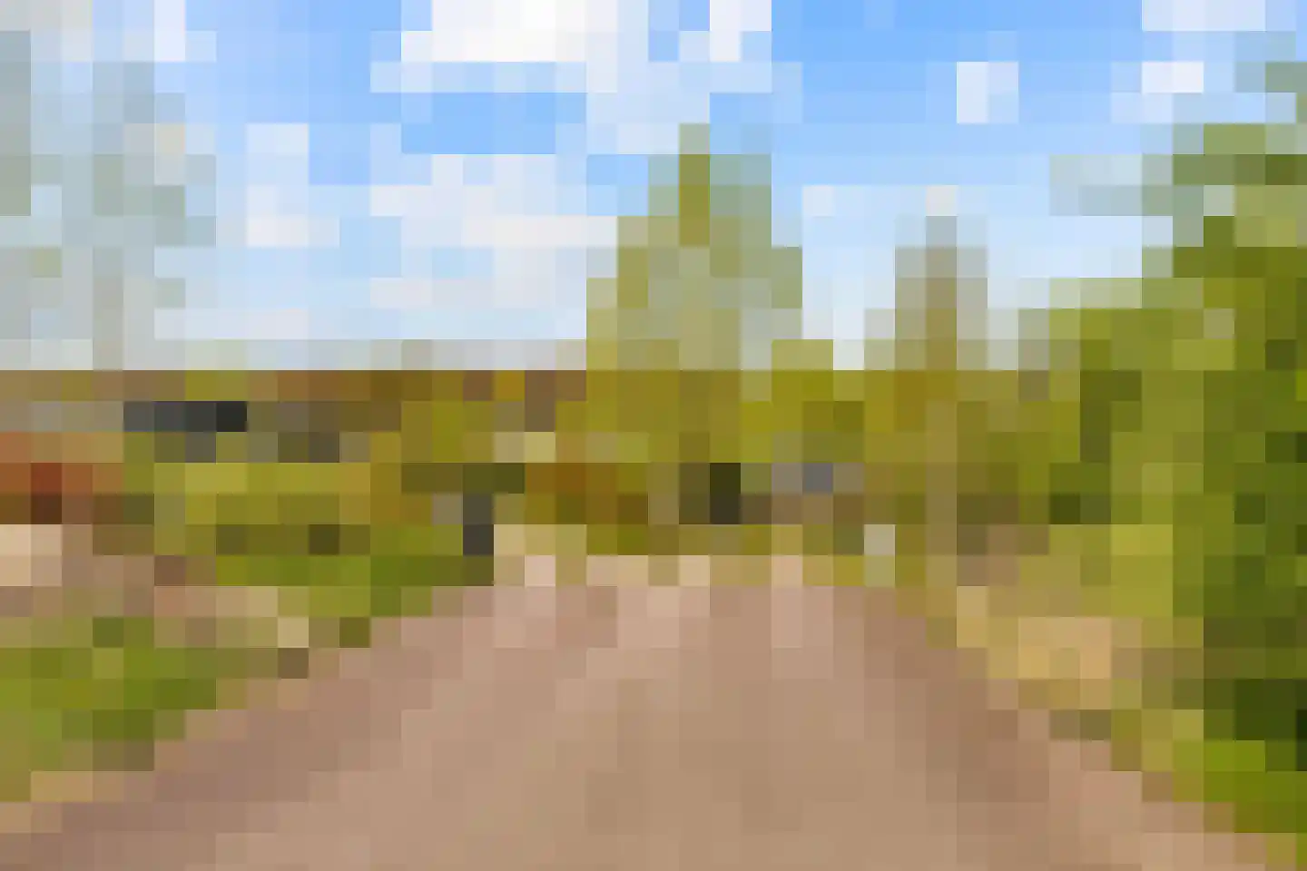 Vogelakker 73 Almere thumbnail 70