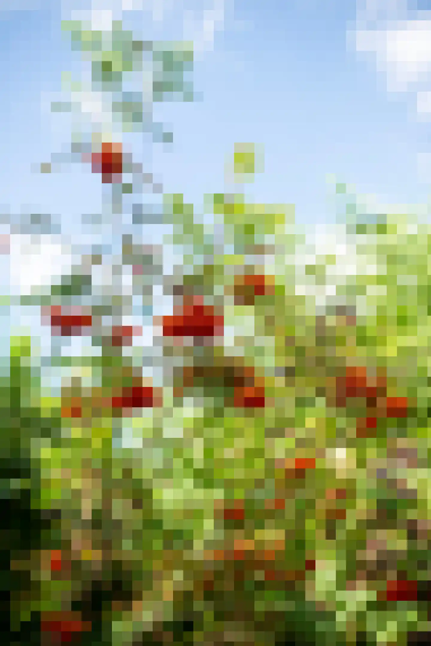 Vogelakker 73 Almere thumbnail 72