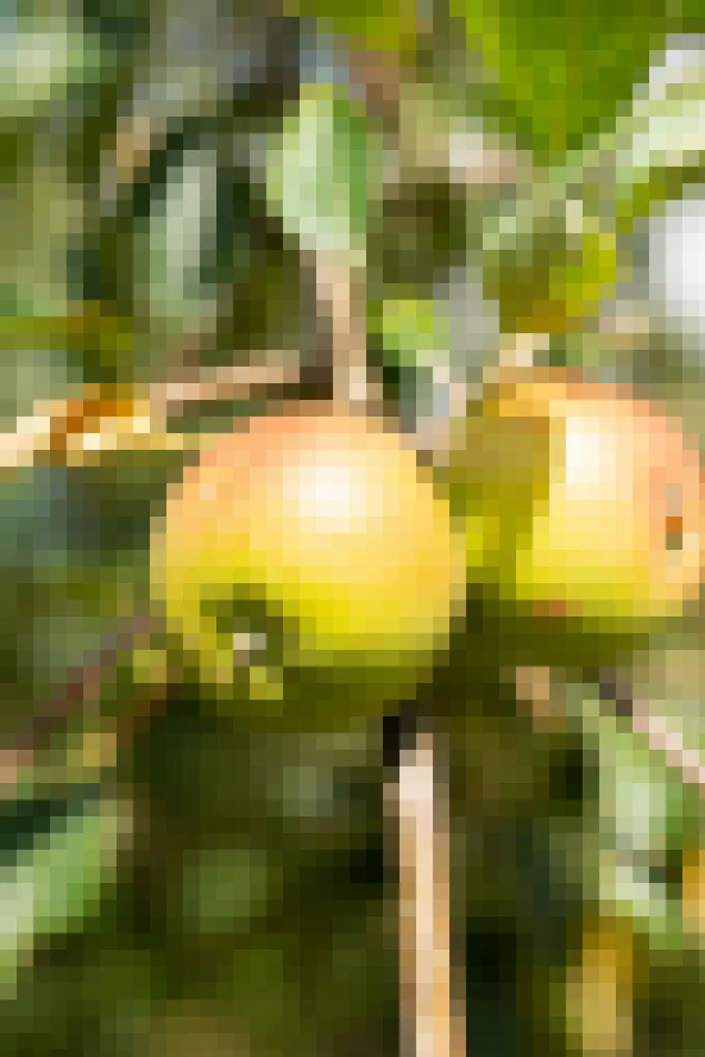 Vogelakker 73 Almere thumbnail 73