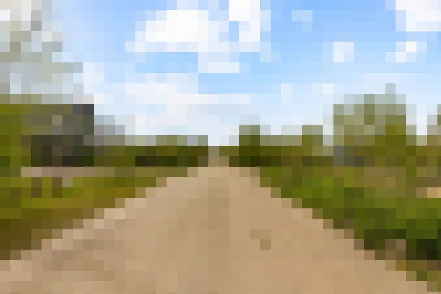 Vogelakker 73 Almere thumbnail 76