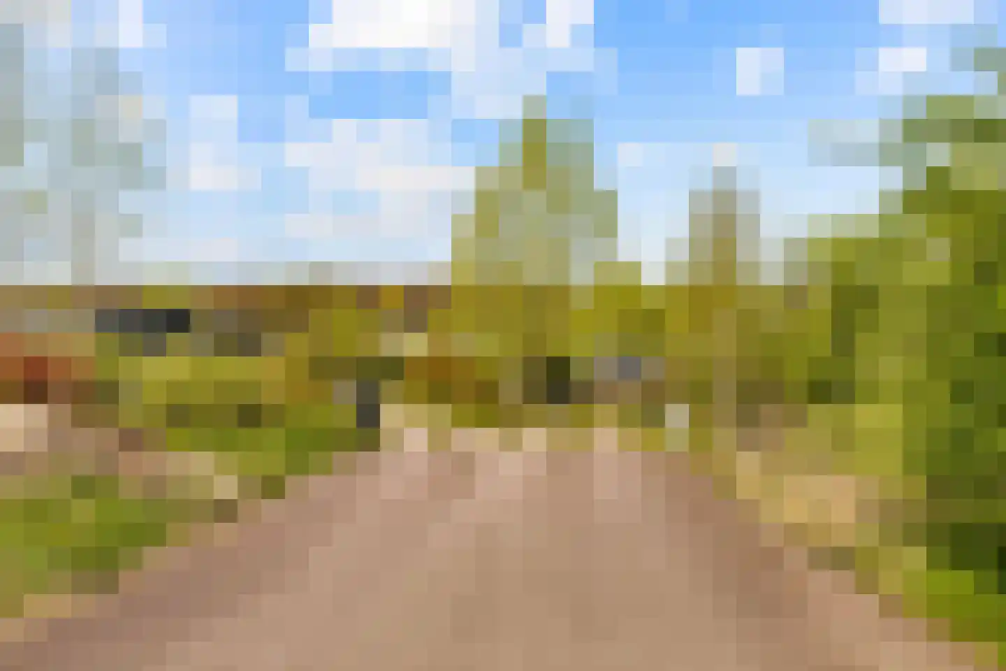 Vogelakker 73 Almere thumbnail 77