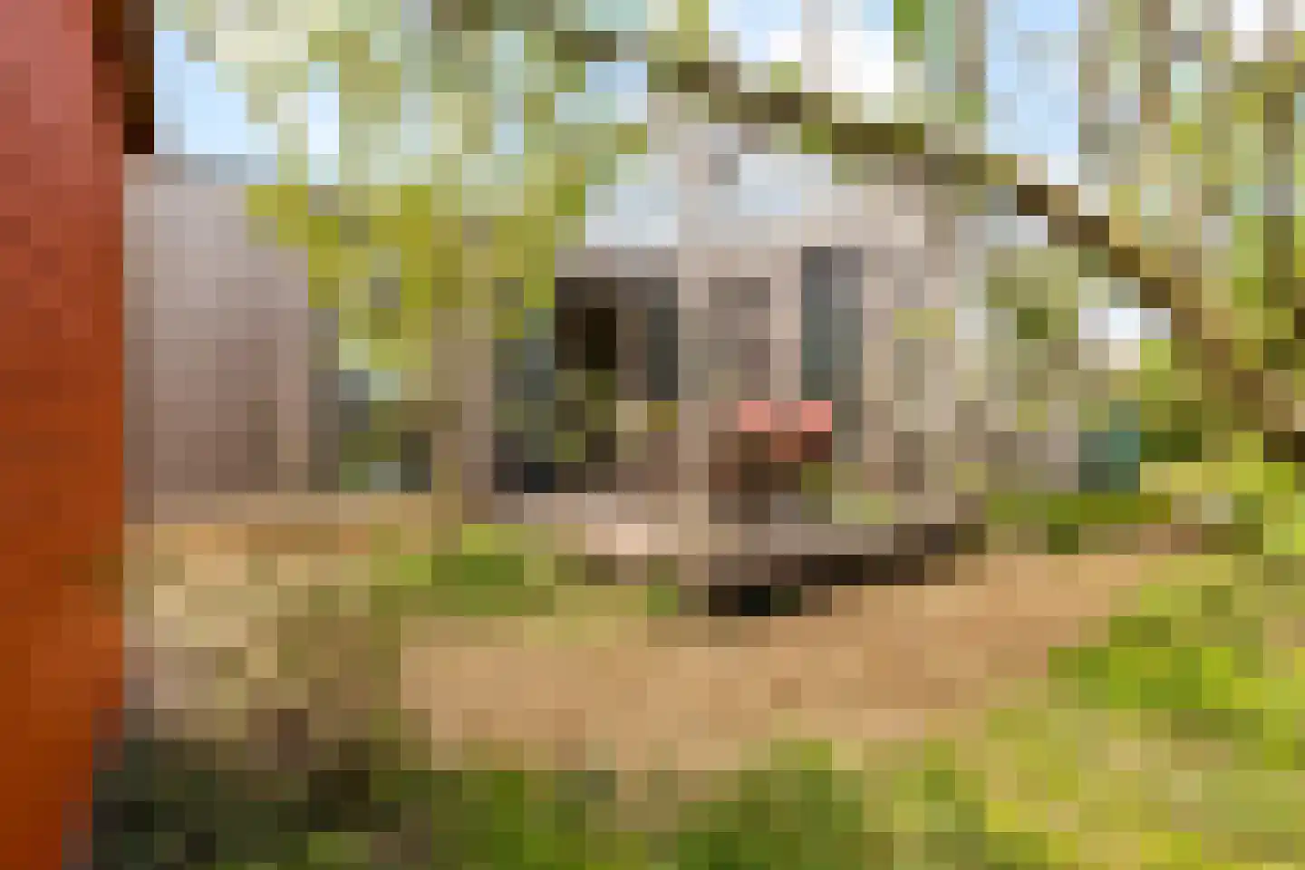 Vogelakker 73 Almere thumbnail 9