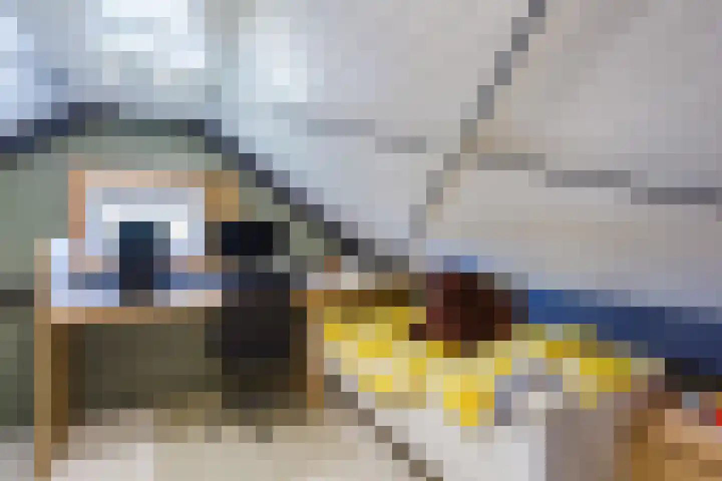 Vogelakker 93 A Almere thumbnail 22