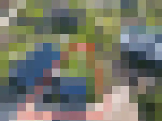 Vogelakker 93 A Almere thumbnail 33